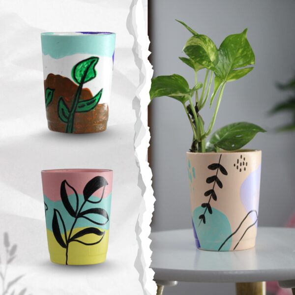 Plants Pot for Indoor – Set of 3 Pcs Glow Petal Snow